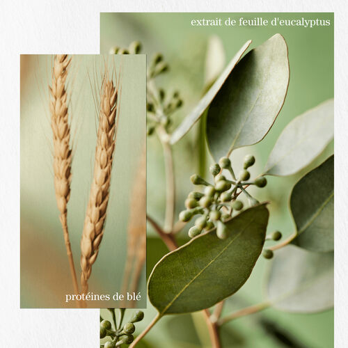 SHAMPOOING HYDRATE SHEER - Hydrate Sheer | L'Oréal Partner Shop